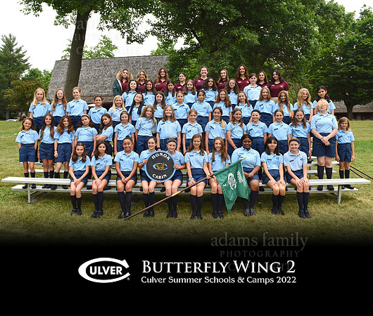 *Butterfly2