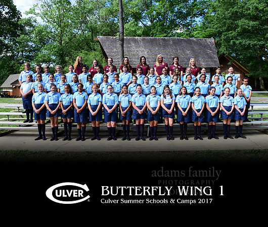 *Butterfly Wing 1 2017