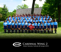 Cardinal2