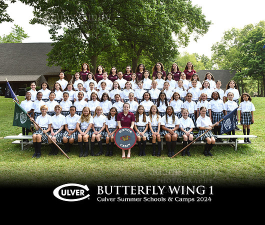 Butterfly Wing 1