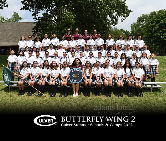 Butterfly Wing 2