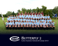 Butterfly2